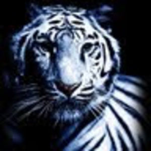 Meet your Posher, Eugene